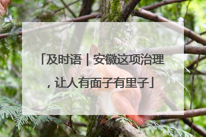 及时语｜安徽这项治理，让人有面子有里子