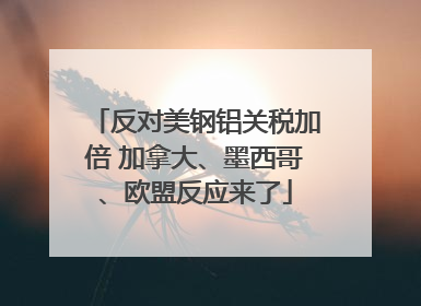 反对美钢铝关税加倍 加拿大、墨西哥、欧盟反应来了