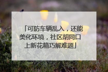 可防车辆乱入，还能美化环境，社区胡同口上新花箱巧解难题