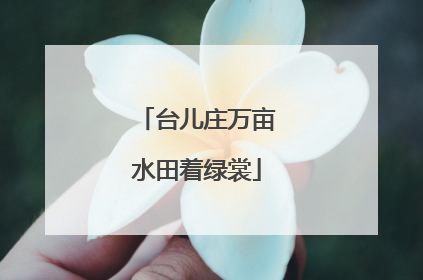 台儿庄万亩水田着绿裳