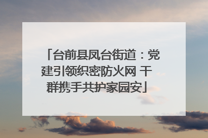 台前县凤台街道：党建引领织密防火网 干群携手共护家园安