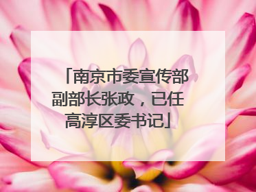 南京市委宣传部副部长张政，已任高淳区委书记