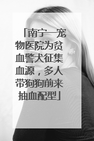 南宁一宠物医院为贫血警犬征集血源，多人带狗狗前来抽血配型