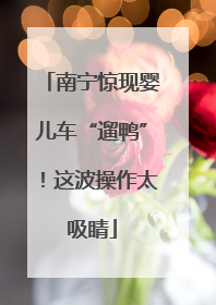 南宁惊现婴儿车“遛鸭”！这波操作太吸睛