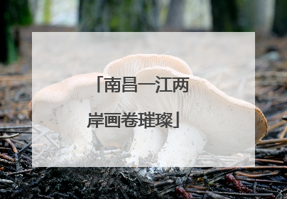 南昌一江两岸画卷璀璨