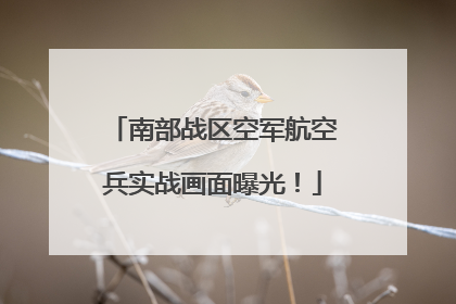 南部战区空军航空兵实战画面曝光！