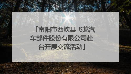 南阳市西峡县飞龙汽车部件股份有限公司赴台开展交流活动