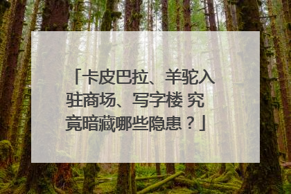 卡皮巴拉、羊驼入驻商场、写字楼 究竟暗藏哪些隐患？