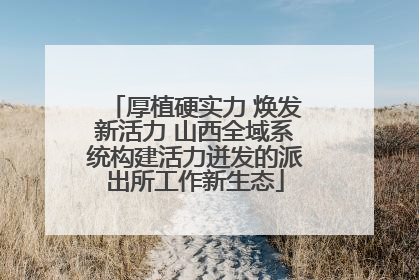 厚植硬实力 焕发新活力 山西全域系统构建活力迸发的派出所工作新生态
