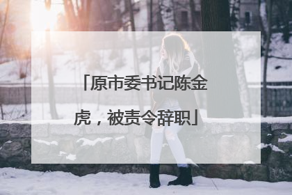 原市委书记陈金虎，被责令辞职