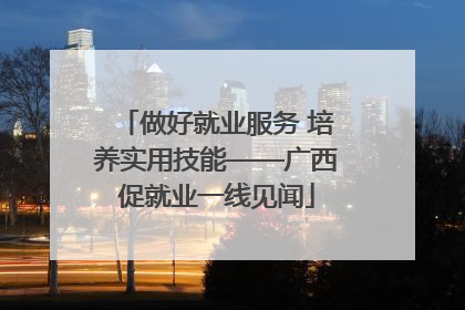 做好就业服务 培养实用技能——广西促就业一线见闻