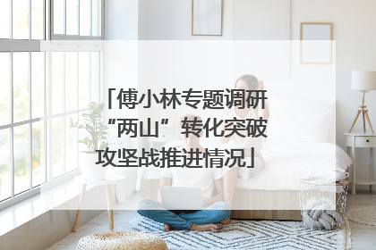 傅小林专题调研“两山”转化突破攻坚战推进情况