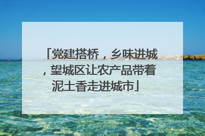 党建搭桥，乡味进城，望城区让农产品带着泥土香走进城市