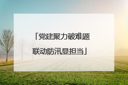 党建聚力破难题 联动防汛显担当