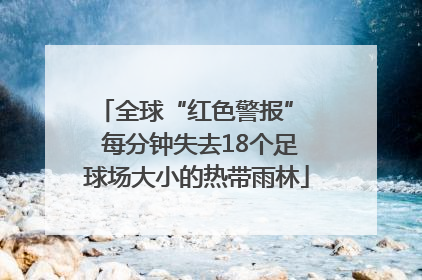 全球“红色警报”  每分钟失去18个足球场大小的热带雨林