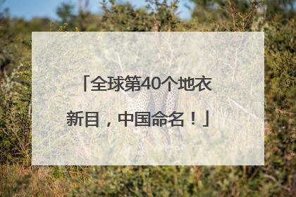全球第40个地衣新目，中国命名！