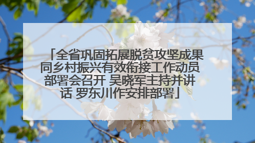 全省巩固拓展脱贫攻坚成果同乡村振兴有效衔接工作动员部署会召开 吴晓军主持并讲话 罗东川作安排部署