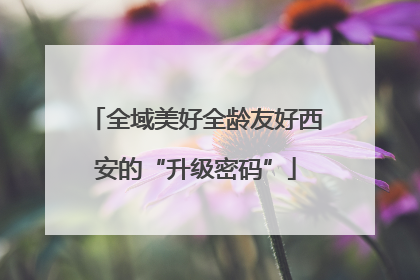 全域美好全龄友好西安的“升级密码”