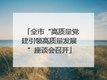 全市“高质量党建引领高质量发展”座谈会召开