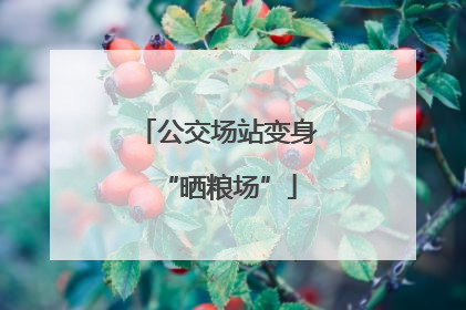 公交场站变身“晒粮场”