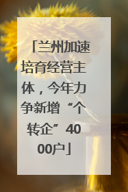 兰州加速培育经营主体，今年力争新增“个转企”4000户