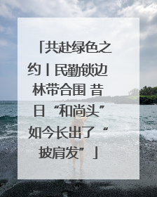 共赴绿色之约丨民勤锁边林带合围 昔日“和尚头”如今长出了“披肩发”