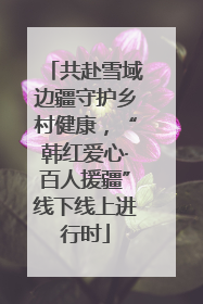 共赴雪域边疆守护乡村健康，“韩红爱心·百人援疆”线下线上进行时