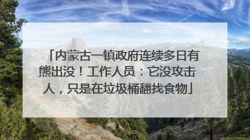 内蒙古一镇政府连续多日有熊出没！工作人员：它没攻击人，只是在垃圾桶翻找食物
