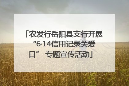 农发行岳阳县支行开展“6·14信用记录关爱日” 专题宣传活动