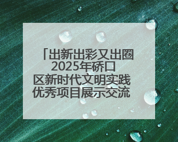 出新出彩又出圈 2025年硚口区新时代文明实践优秀项目展示交流活动举行