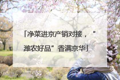 净菜进京产销对接，“潍农好品”香满京华
