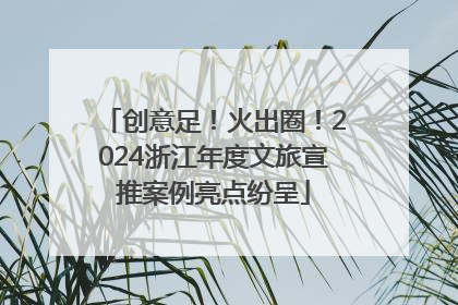 创意足！火出圈！2024浙江年度文旅宣推案例亮点纷呈