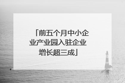 前五个月中小企业产业园入驻企业增长超三成