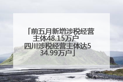 前五月新增涉税经营主体48.15万户 四川涉税经营主体达534.99万户