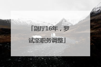 副厅16年，罗试坚职务调整