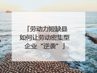 劳动力短缺县 如何让劳动密集型企业“逆袭”