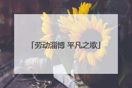 劳动淄博 平凡之歌