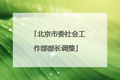 北京市委社会工作部部长调整