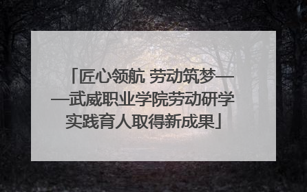 匠心领航 劳动筑梦——武威职业学院劳动研学实践育人取得新成果
