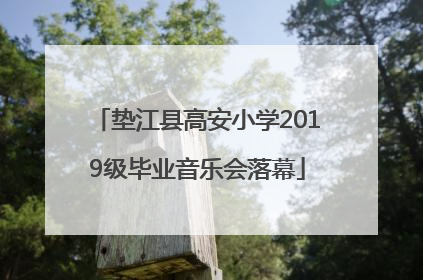 垫江县高安小学2019级毕业音乐会落幕