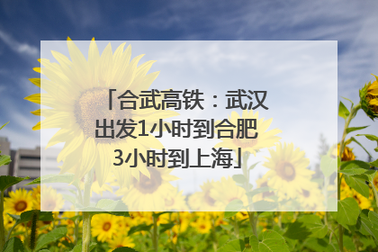 合武高铁：武汉出发1小时到合肥3小时到上海