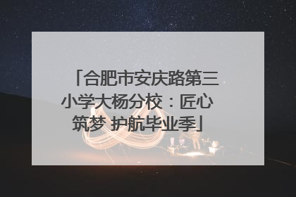 合肥市安庆路第三小学大杨分校：匠心筑梦 护航毕业季