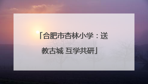 合肥市杏林小学：送教古城 互学共研