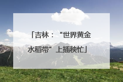 吉林：“世界黄金水稻带”上插秧忙