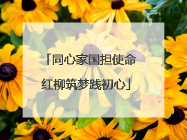同心家国担使命 红柳筑梦践初心