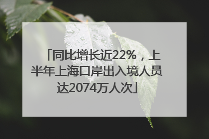 同比增长近22%，上半年上海口岸出入境人员达2074万人次
