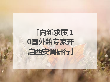 向新求质 10国外籍专家开启西安调研行