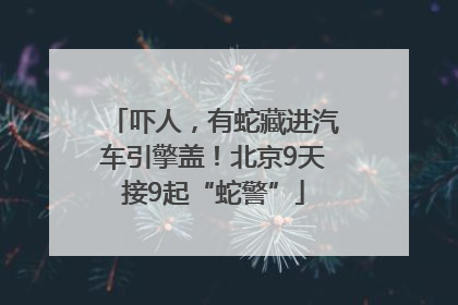 吓人，有蛇藏进汽车引擎盖！北京9天接9起“蛇警”
