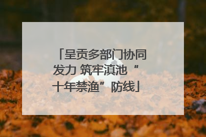 呈贡多部门协同发力 筑牢滇池“十年禁渔”防线
