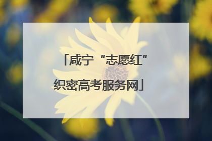 咸宁“志愿红”织密高考服务网